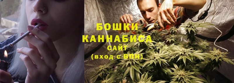 Шишки марихуана White Widow  купить  цена  Нефтекумск 